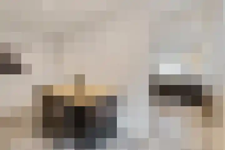 Raadhuisstraat 62 Rucphen thumbnail 10