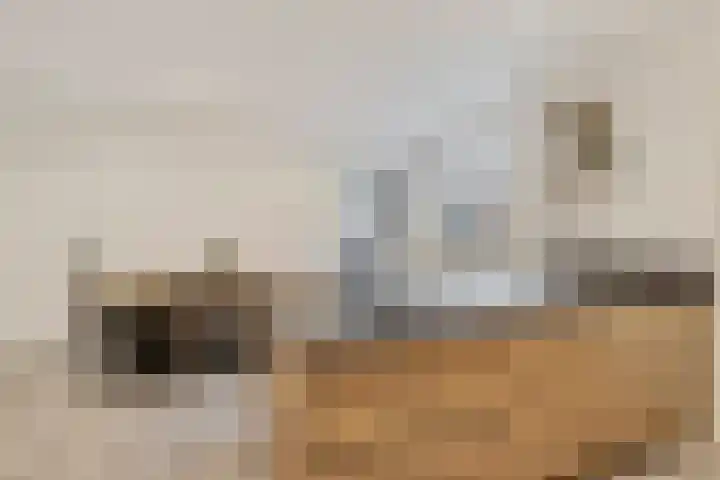 Raadhuisstraat 62 Rucphen thumbnail 15