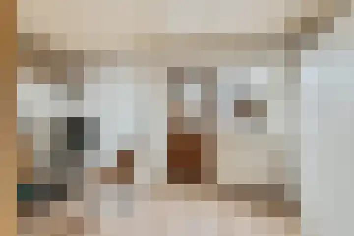 Raadhuisstraat 62 Rucphen thumbnail 23