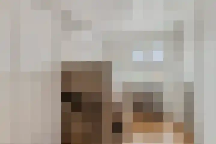 Raadhuisstraat 62 Rucphen thumbnail 25