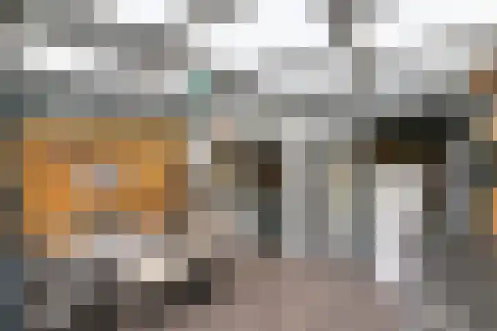 Raadhuisstraat 62 Rucphen thumbnail 32