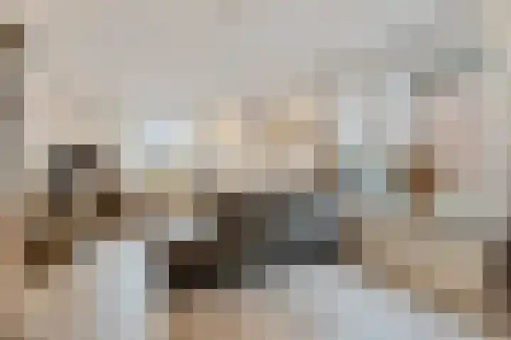 Raadhuisstraat 62 Rucphen thumbnail 5