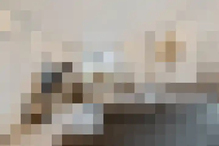 Raadhuisstraat 62 Rucphen thumbnail 7