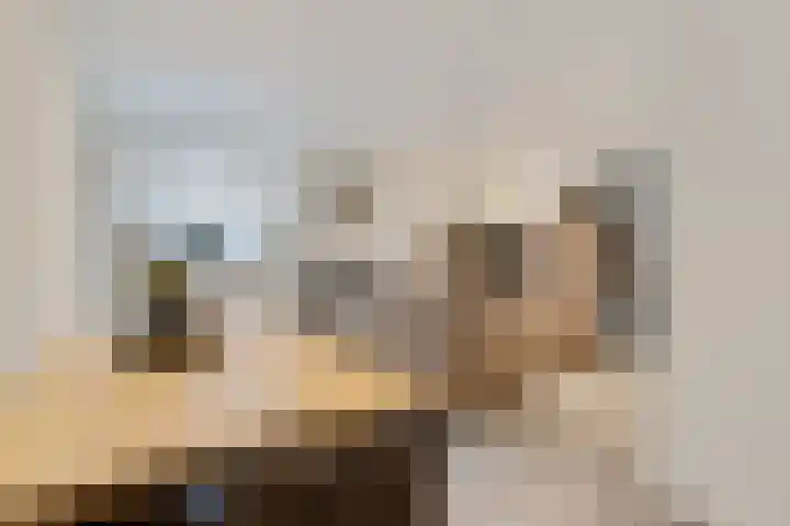Raadhuisstraat 62 Rucphen thumbnail 9