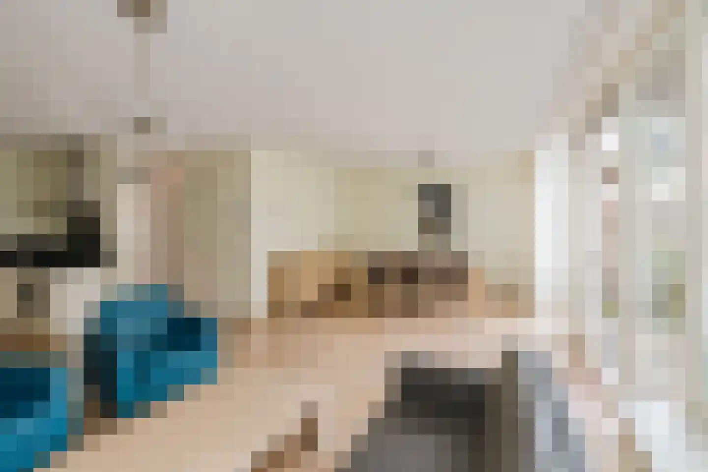 Raadhuisstraat 63 Heemskerk thumbnail 18