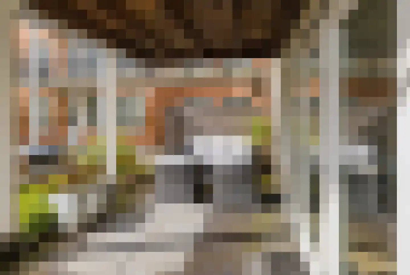 Raadhuisstraat 63 Heemskerk thumbnail 21