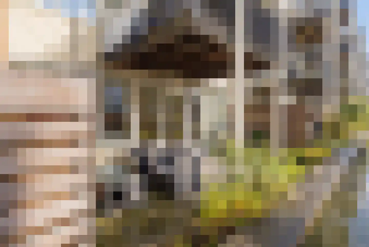 Raadhuisstraat 63 Heemskerk thumbnail 23