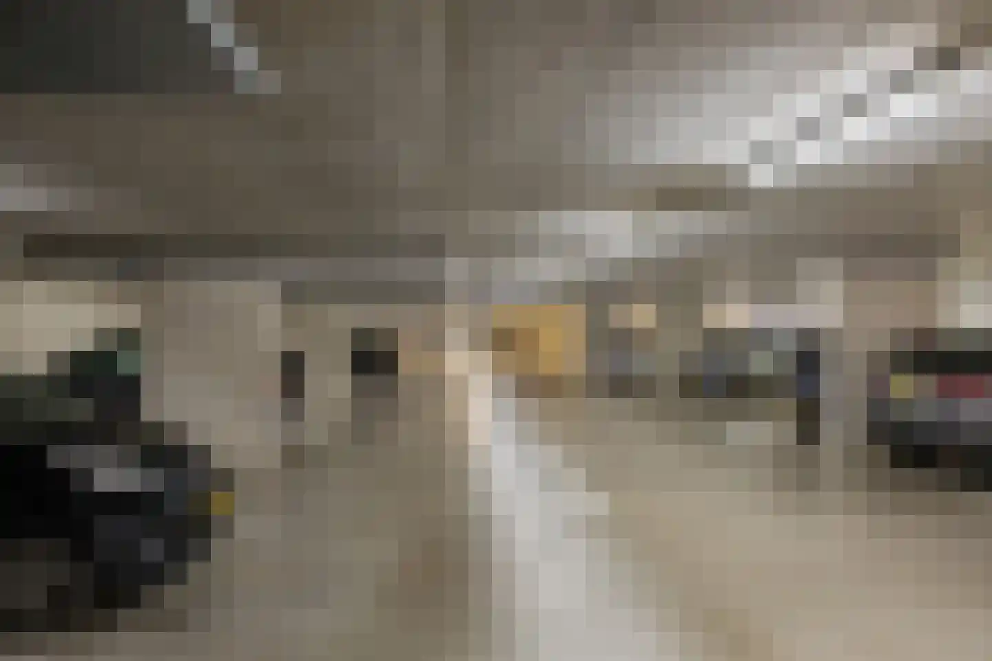 Raadhuisstraat 63 Heemskerk thumbnail 40