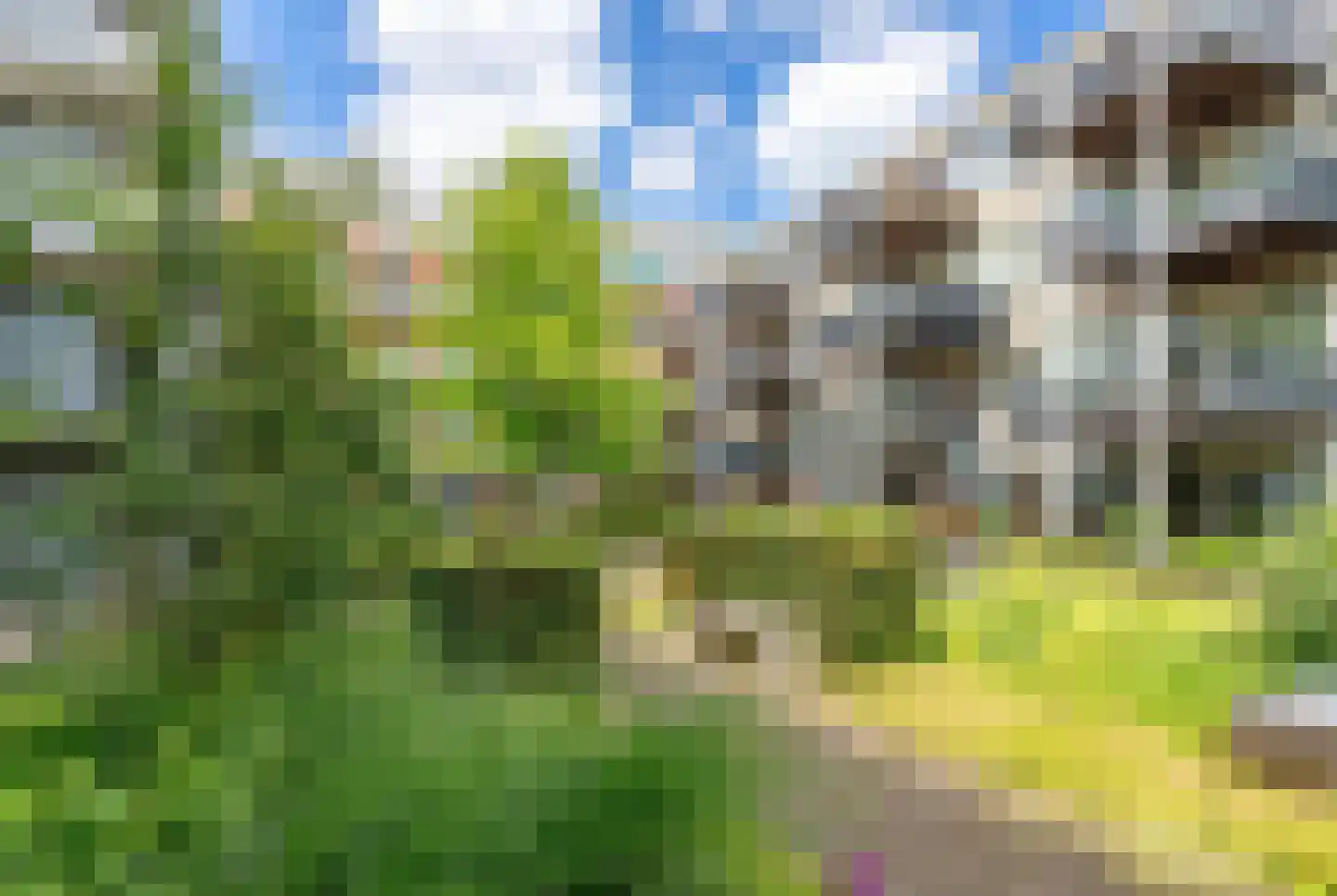 Raadhuisstraat 63 Heemskerk thumbnail 50