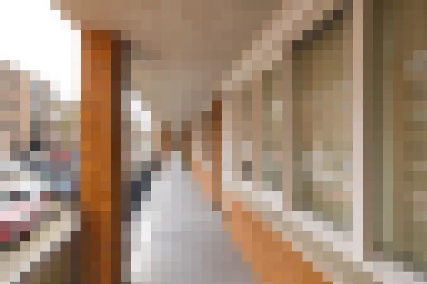 Raadhuisstraat 63 Heemskerk thumbnail 6