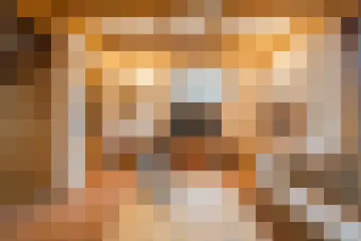 Raadhuisstraat 64 Dirkshorn thumbnail 10