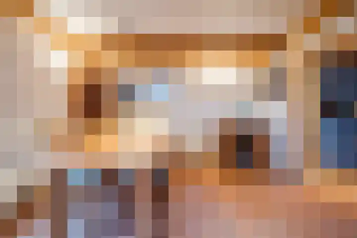 Raadhuisstraat 64 Dirkshorn thumbnail 14