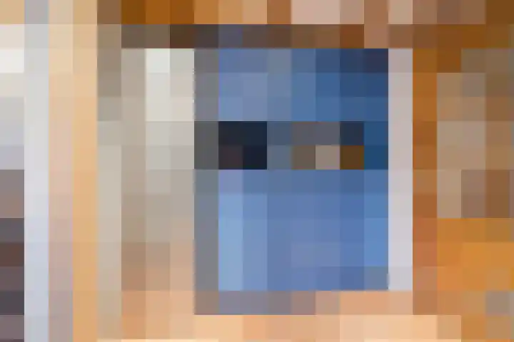 Raadhuisstraat 64 Dirkshorn thumbnail 18