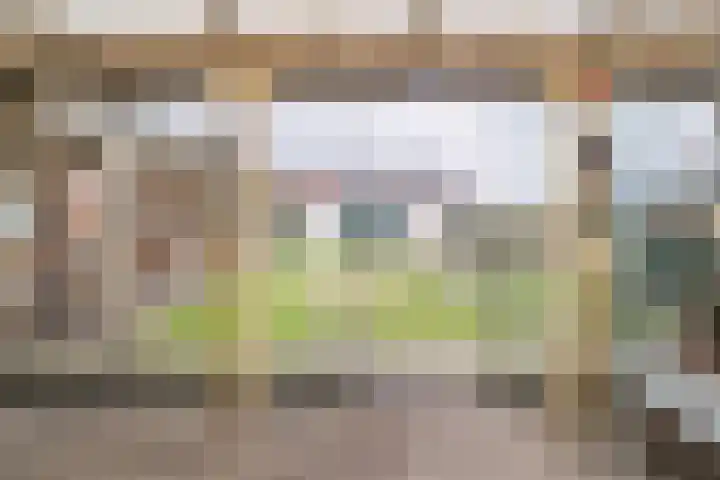 Raadhuisstraat 64 Dirkshorn thumbnail 23
