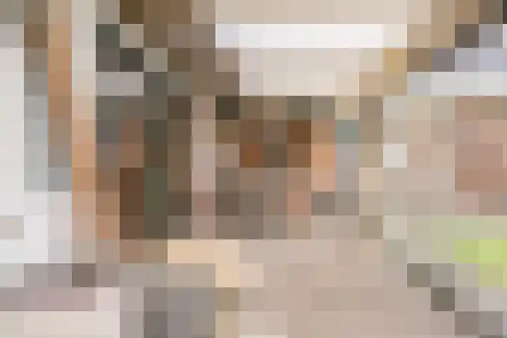 Raadhuisstraat 64 Dirkshorn thumbnail 24