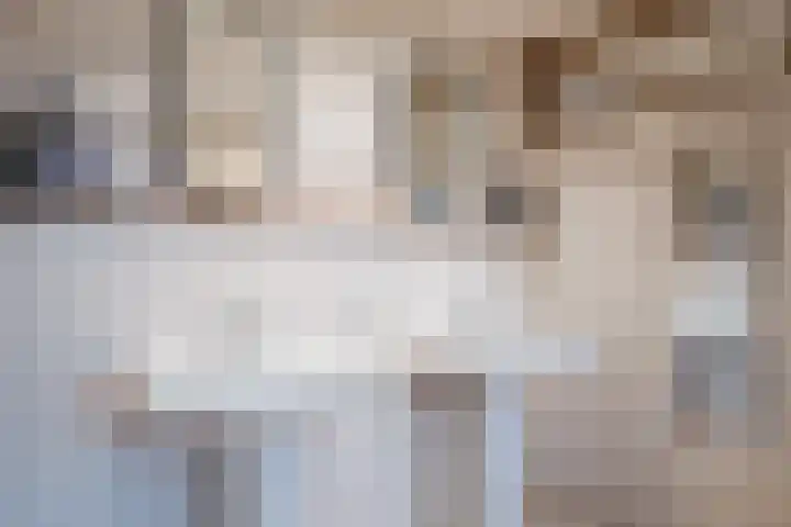 Raadhuisstraat 64 Dirkshorn thumbnail 25