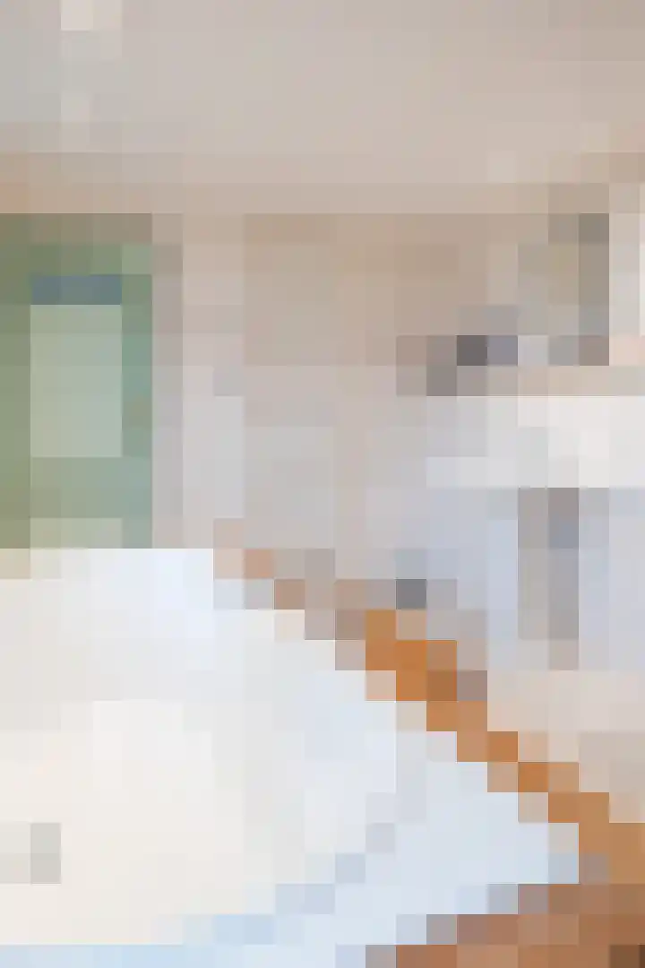 Raadhuisstraat 64 Dirkshorn thumbnail 29