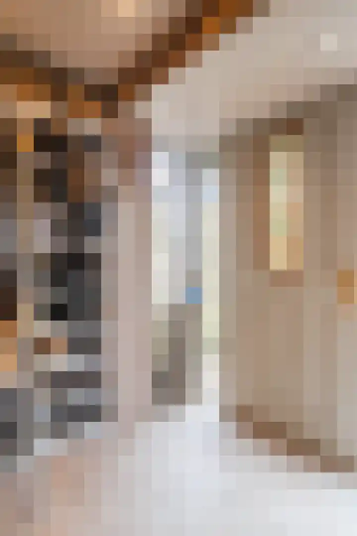 Raadhuisstraat 64 Dirkshorn thumbnail 34