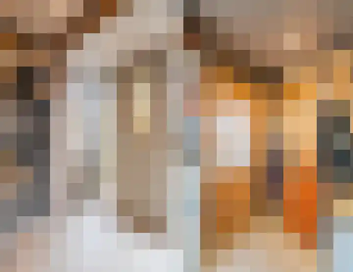 Raadhuisstraat 64 Dirkshorn thumbnail 36