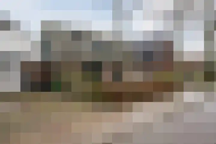 Raadhuisstraat 64 Dirkshorn thumbnail 5