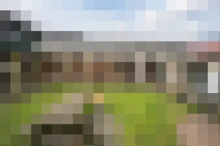 Raadhuisstraat 64 Dirkshorn thumbnail 54