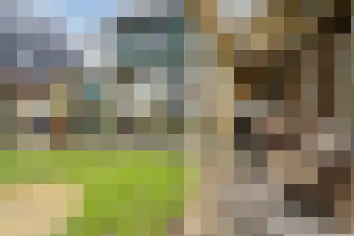 Raadhuisstraat 64 Dirkshorn thumbnail 57