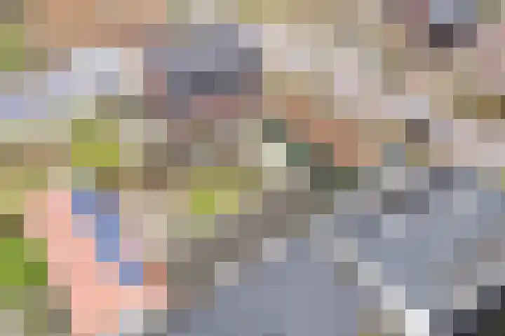 Raadhuisstraat 64 Dirkshorn thumbnail 61