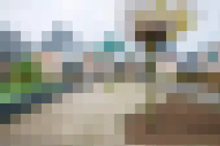 Raadhuisstraat 65 Hengelo (Gld) thumbnail 41