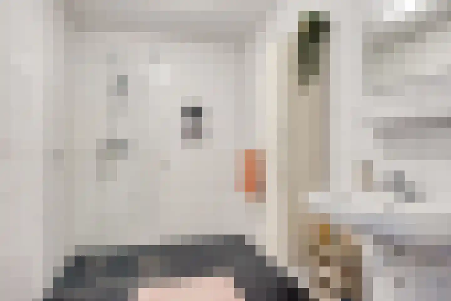 Raadhuisstraat 68 Roden thumbnail 5