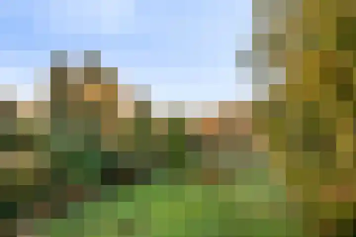Raadhuisstraat 69 Urmond thumbnail 10