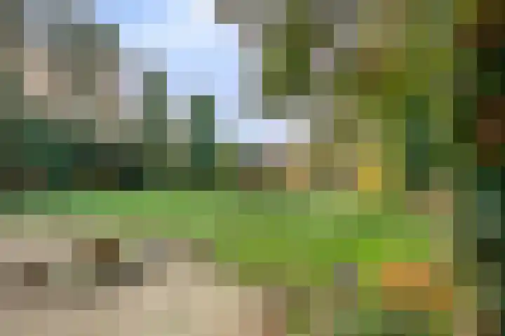 Raadhuisstraat 69 Urmond thumbnail 11