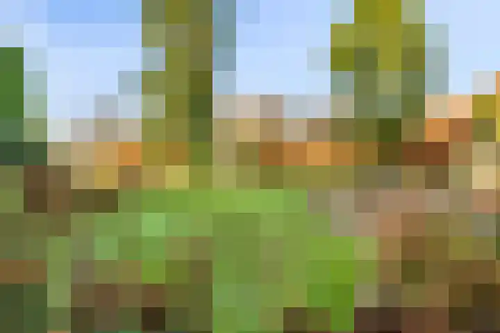 Raadhuisstraat 69 Urmond thumbnail 13