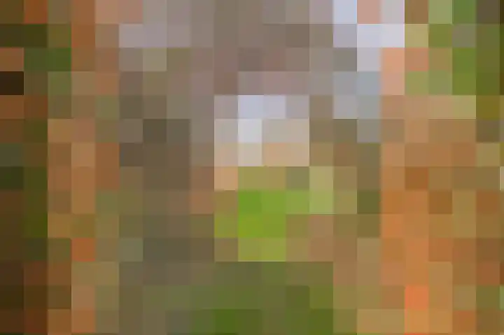 Raadhuisstraat 69 Urmond thumbnail 15