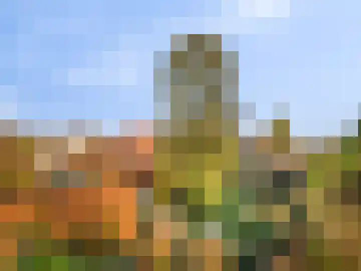 Raadhuisstraat 69 Urmond thumbnail 17