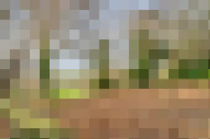 Raadhuisstraat 69 Urmond thumbnail 18