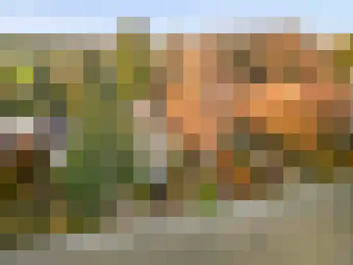 Raadhuisstraat 69 Urmond thumbnail 22