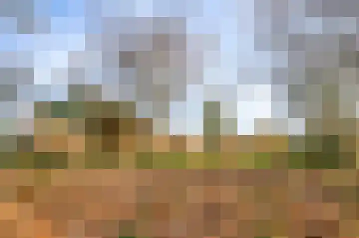 Raadhuisstraat 69 Urmond thumbnail 23