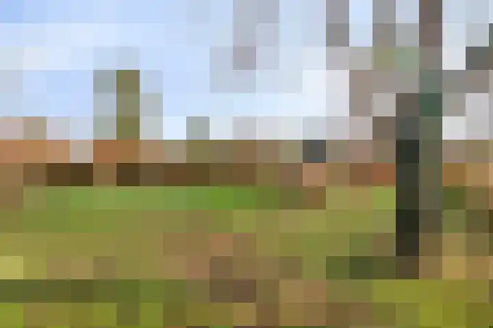 Raadhuisstraat 69 Urmond thumbnail 24