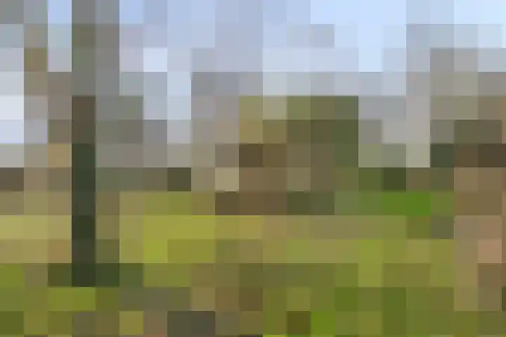 Raadhuisstraat 69 Urmond thumbnail 25