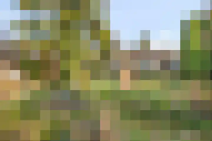 Raadhuisstraat 69 Urmond thumbnail 26