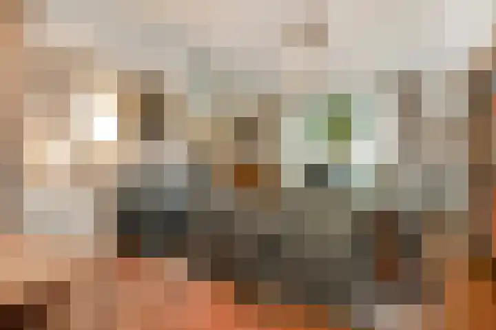 Raadhuisstraat 69 Urmond thumbnail 35