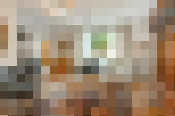 Raadhuisstraat 69 Urmond thumbnail 36