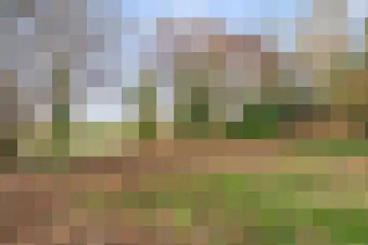 Raadhuisstraat 69 Urmond thumbnail 4