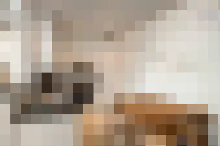 Raadhuisstraat 69 Urmond thumbnail 40