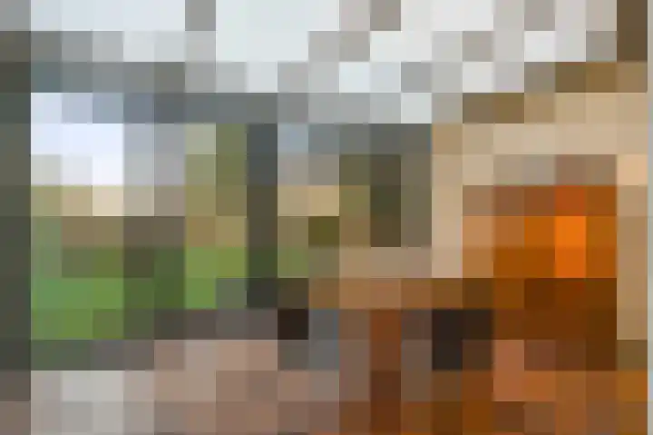 Raadhuisstraat 69 Urmond thumbnail 43