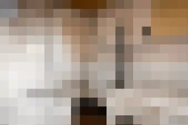 Raadhuisstraat 69 Urmond thumbnail 58
