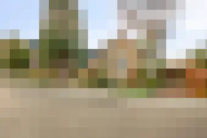 Raadhuisstraat 69 Urmond thumbnail 6