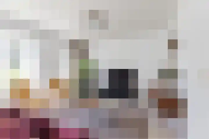 Raadhuisstraat 7 a Berkel-Enschot thumbnail 4