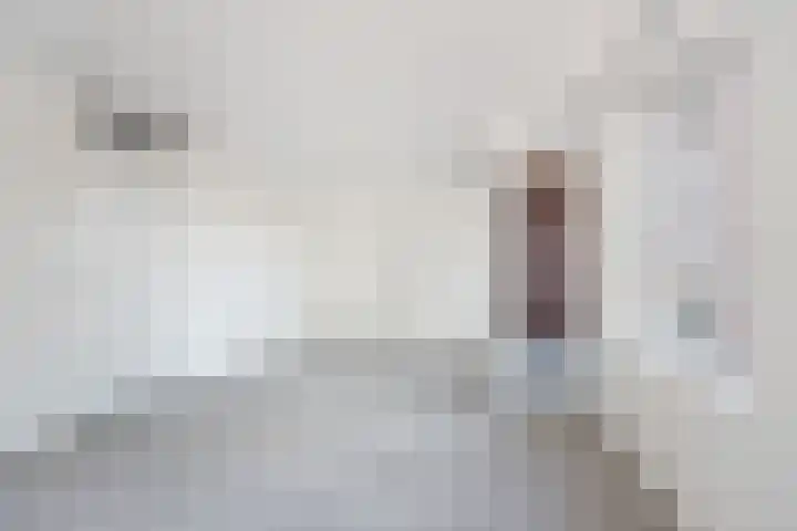 Raadhuisstraat 7 A Dinxperlo thumbnail 18