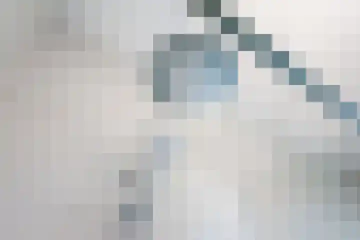 Raadhuisstraat 7 A Dinxperlo thumbnail 31